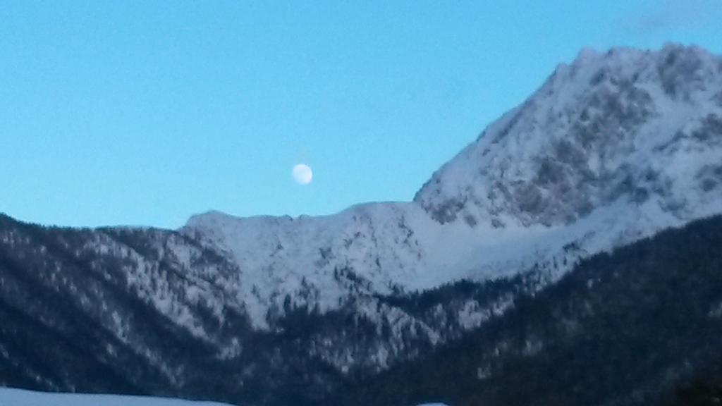 Alpenappartements Schwalbennestl มิทเทนวัลด์ ภายนอก รูปภาพ
