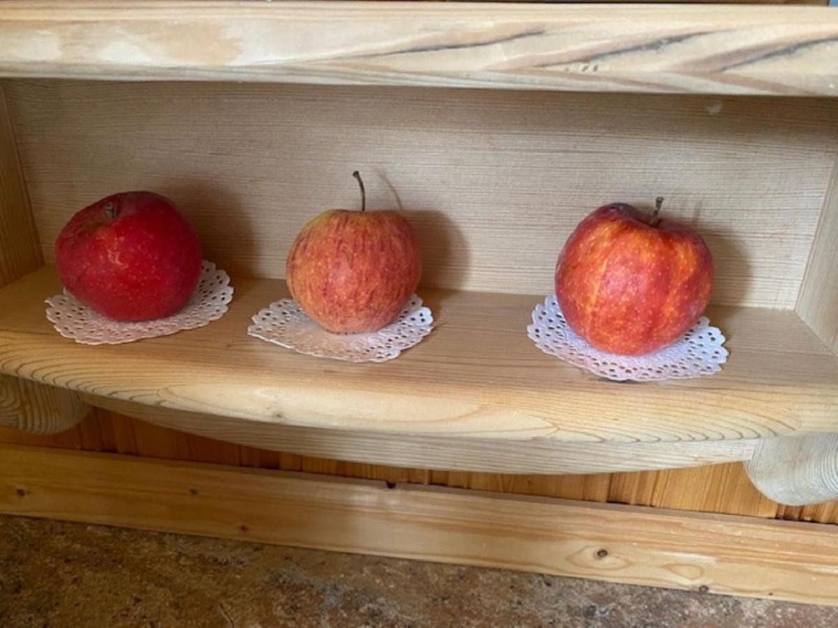 Alpenappartements Schwalbennestl มิทเทนวัลด์ ภายนอก รูปภาพ