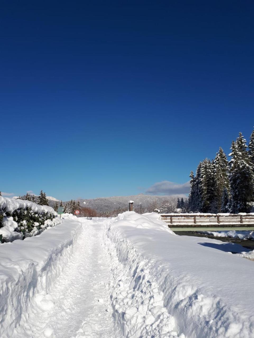 Alpenappartements Schwalbennestl มิทเทนวัลด์ ภายนอก รูปภาพ